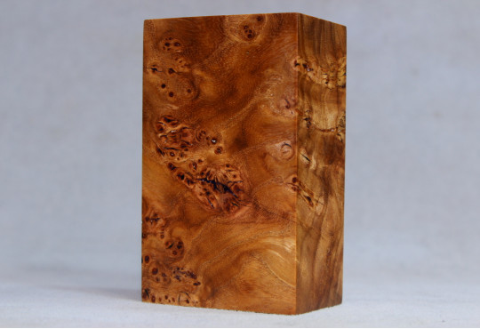 Stabilized Elm Burl Wood Mod Block